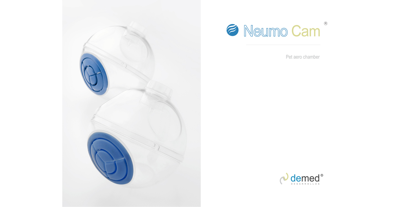 Visual Communication and Branding